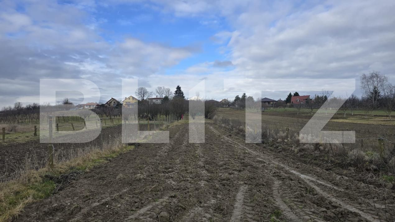 Teren de vânzare Viile Satu Mare - 187762TV | BLITZ Satu Mare | Poza2