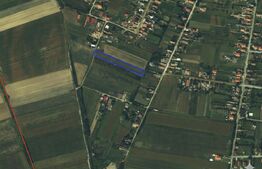 Teren de vânzare Lazuri - 192167TV | BLITZ Satu Mare | Poza4