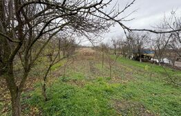 Casă deosebită cu teren generos – Bercu