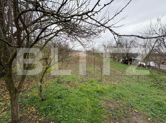 Casa de vânzare 3 camere Bercu Nou - 187792CV | BLITZ Satu Mare | Poza3