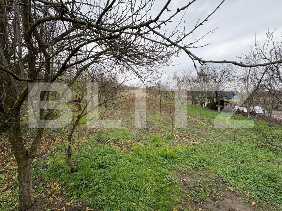 Casa de vânzare 3 camere Bercu Nou - 187792CV | BLITZ Satu Mare | Poza3