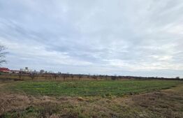 Teren extravilan de vanzare cu utilitati, 5900mp, zona Closca Satu Mare