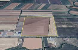 Teren intravilan 10 ha – deschidere 357 m la DN19 – BOTIZ