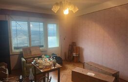 Casă cu teren generos de 6000 mp în Viile Satu Mare – zonă liniștită