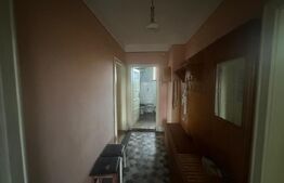 Casă cu teren generos de 6000 mp în Viile Satu Mare – zonă liniștită