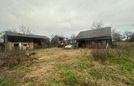 Casă cu teren generos de 6000 mp în Viile Satu Mare – zonă liniștită