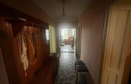 Casă cu teren generos de 6000 mp în Viile Satu Mare – zonă liniștită