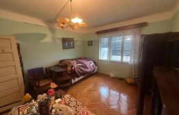 Casă cu teren generos de 6000 mp în Viile Satu Mare – zonă liniștită