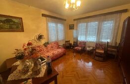 Casă cu teren generos de 6000 mp în Viile Satu Mare – zonă liniștită