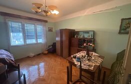 Casă cu teren generos de 6000 mp în Viile Satu Mare – zonă liniștită