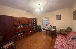 Casă cu teren generos de 6000 mp în Viile Satu Mare – zonă liniștită