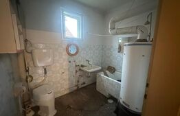 Casă cu teren generos de 6000 mp în Viile Satu Mare – zonă liniștită