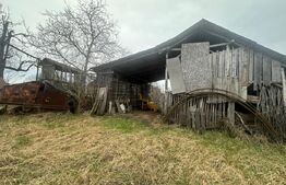 Casă cu teren generos de 6000 mp în Viile Satu Mare – zonă liniștită