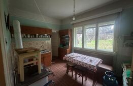 Casă cu teren generos de 6000 mp în Viile Satu Mare – zonă liniștită