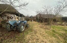 Casă cu teren generos de 6000 mp în Viile Satu Mare – zonă liniștită