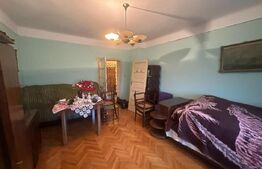 Casă cu teren generos de 6000 mp în Viile Satu Mare – zonă liniștită