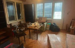 Casă cu teren generos de 6000 mp în Viile Satu Mare – zonă liniștită