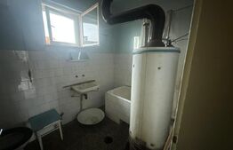 Casă cu teren generos de 6000 mp în Viile Satu Mare – zonă liniștită