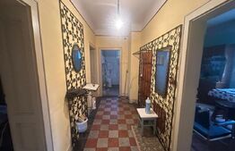 Casă cu teren generos de 6000 mp în Viile Satu Mare – zonă liniștită