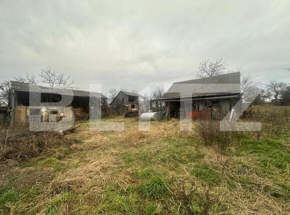 Casa de vânzare 4 camere Viile Satu Mare - 188006CV | BLITZ Satu Mare | Poza18