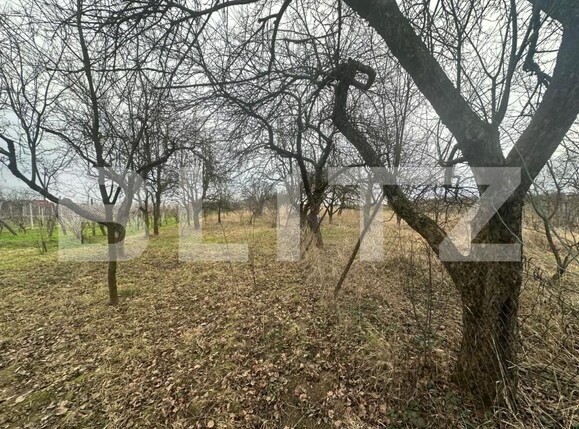 Casa de vânzare 4 camere Viile Satu Mare - 188006CV | BLITZ Satu Mare | Poza21