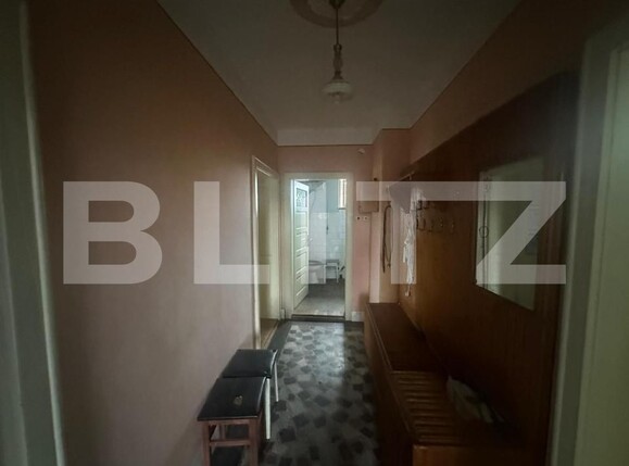 Casa de vânzare 4 camere Viile Satu Mare - 188006CV | BLITZ Satu Mare | Poza13