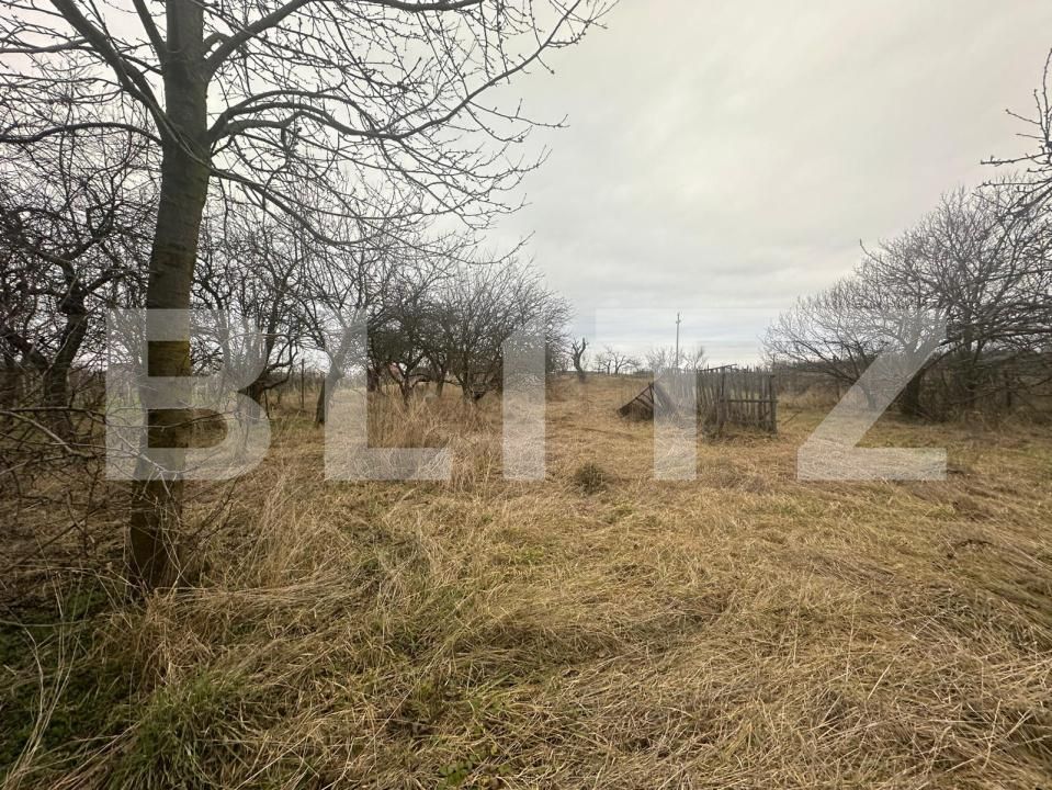 Casa de vânzare 4 camere Viile Satu Mare - 188006CV | BLITZ Satu Mare | Poza22