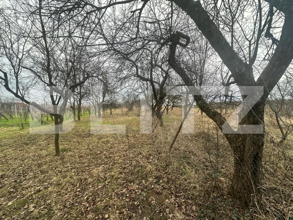 Casa de vânzare 4 camere Viile Satu Mare - 188006CV | BLITZ Satu Mare | Poza21