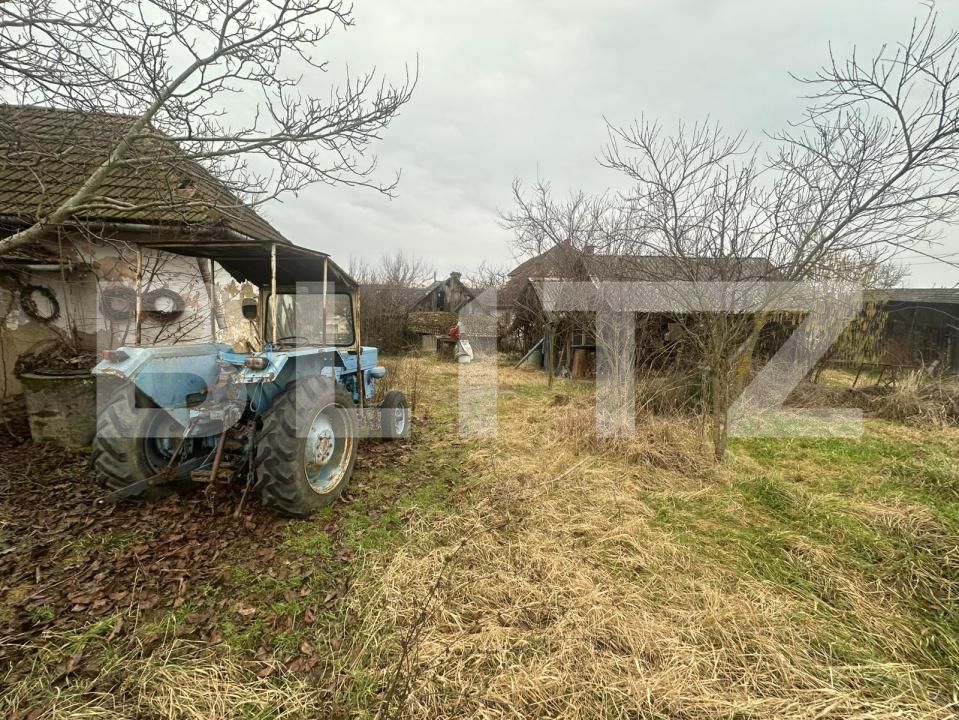 Casa de vânzare 4 camere Viile Satu Mare - 188006CV | BLITZ Satu Mare | Poza19