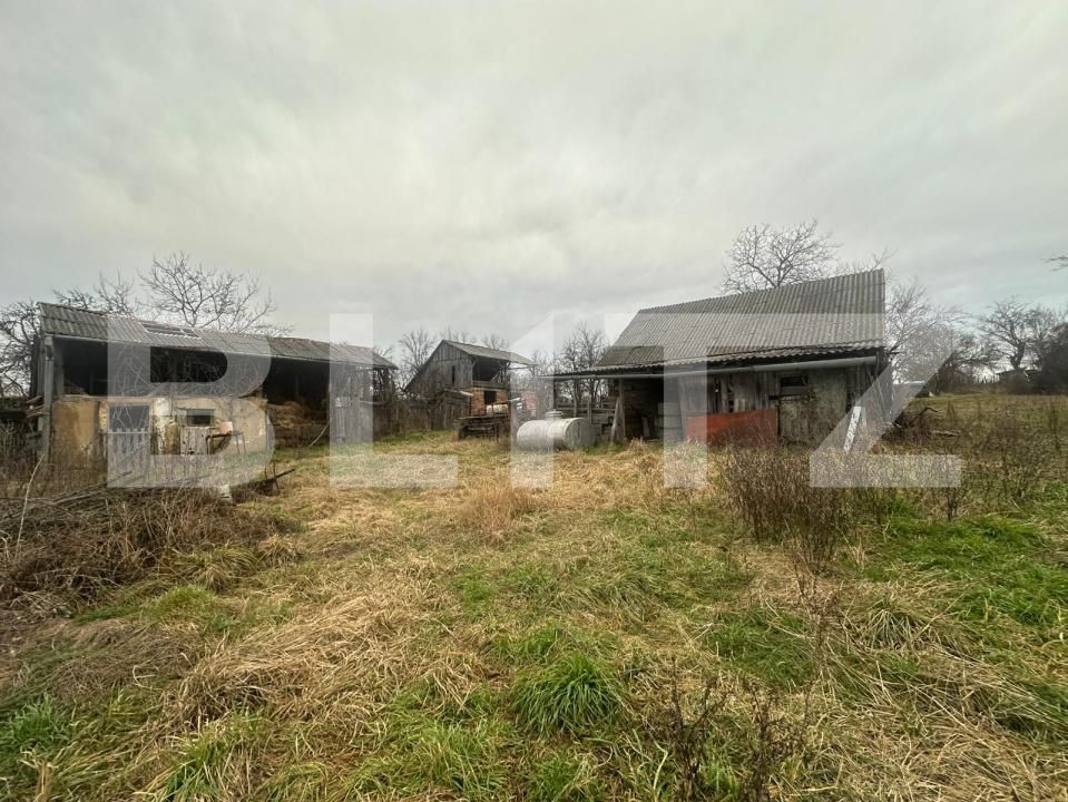 Casa de vânzare 4 camere Viile Satu Mare - 188006CV | BLITZ Satu Mare | Poza18