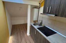 Apartament 3 camere, Ady Endre