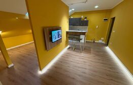 Apartament 3 camere, Ady Endre