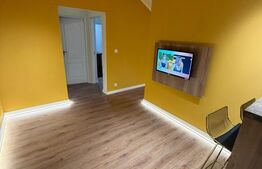 Apartament 3 camere, Ady Endre