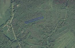 Teren intravilan de vanzare, 2697 mp, in Ardud Vii