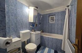 Apartament de vanzare, 55.36 mp, zona Micro 16