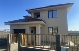 Casa de vânzare 4 camere Botiz - 195193CV | BLITZ Satu Mare | Poza4