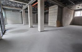 Spatiu comercial, 250 mp, zona Semicentral