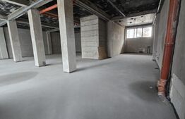 Spatiu comercial, 250 mp, zona Semicentral