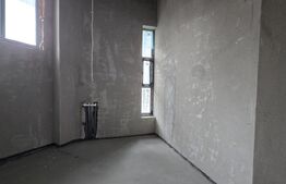 Spatiu comercial, 250 mp, zona Semicentral