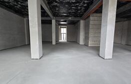 Spatiu comercial, 250 mp, zona Semicentral