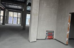 Spatiu comercial, 250 mp, zona Semicentral