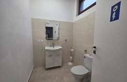 Spatiu comercial de inchiriat, 270 mp, zona Semicentral 