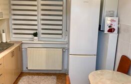 Apartament de vânzare, 49.20 mp, zonă Centrală