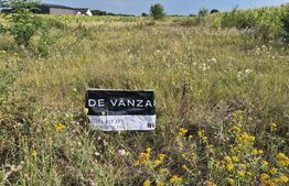 Teren intravilan de vanzare, 3600 mp, in Odoreu