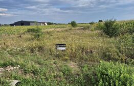 Teren intravilan de vanzare, 3600 mp, in Odoreu