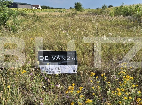 Teren de vânzare Odoreu - 189039TV | BLITZ Satu Mare | Poza1