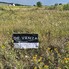 Teren de vânzare Odoreu - 189039TV - Poza 1 din 3 | BLITZ Satu Mare | Poza1