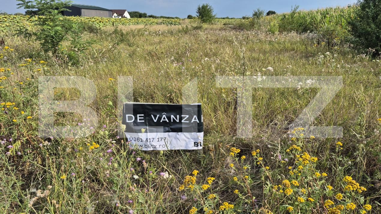Teren de vânzare Odoreu - 189039TV | BLITZ Satu Mare | Poza2