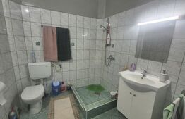 Casa 4 dormitoare, 220 mp, teren 500 mp, zona Titulescu