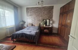 Casa 4 dormitoare, 220 mp, teren 500 mp, zona Titulescu